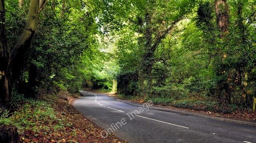 Photo 6x4 the lambeg - photo, road