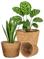 3 Sized Seagrass Planter