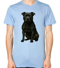 Staffordshire Bull Terrier Dog