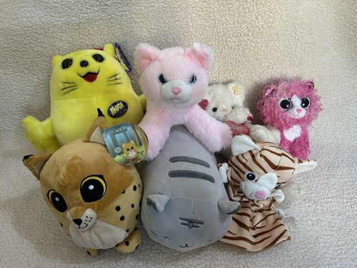 Bundle cat plushies - of,