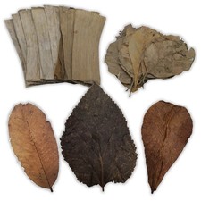 Catappa Mulberry Banana Teak