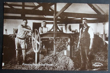 1909 RPPC Social History