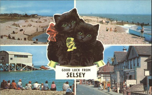 Vintage postcard selsey - postcard,