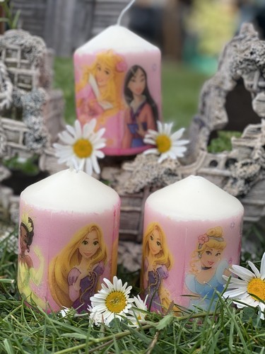 Disney princesses design hand - princesses,