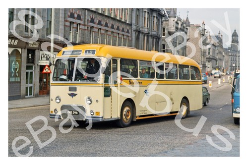 Bus photograph alexander - photograph,