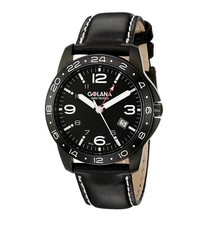 Golana Swiss Men's AE310-1