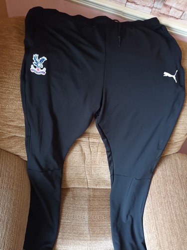 Men crystal palace - fc, puma