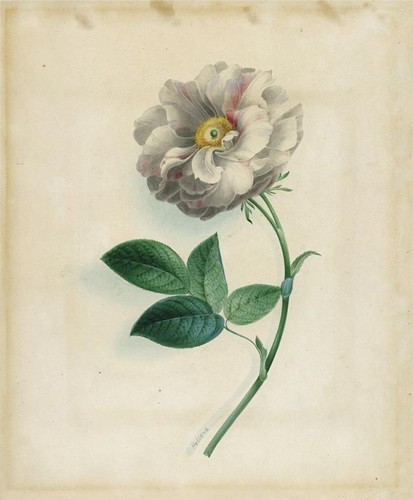 James holland ows - holland, (1799-1870)