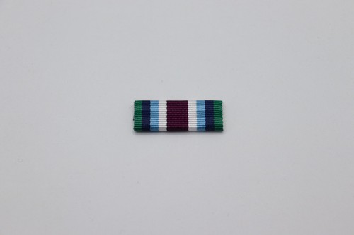 Wider service medal full size - service,