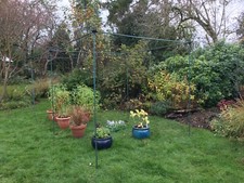 1m High Garden Vegetable Fruit