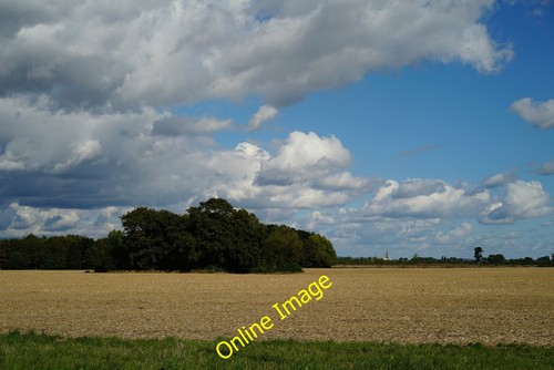 Photo 6x4 view from - photo, park
