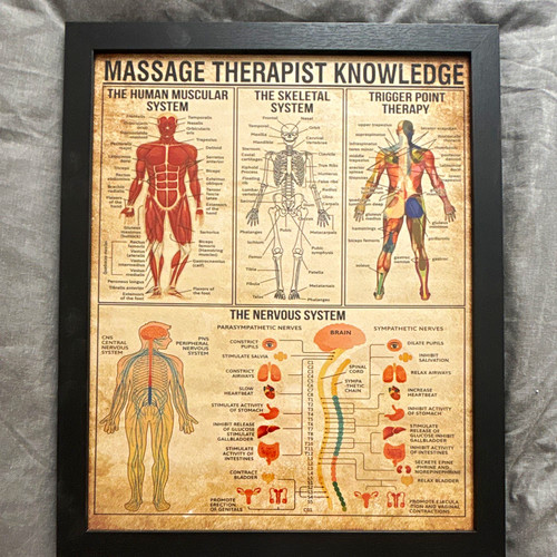 Massage therapist knowledge - massage,