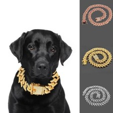 Large dog chain collar puppy - dog,