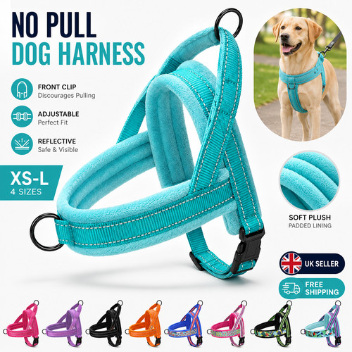 Pull dog harness - no,