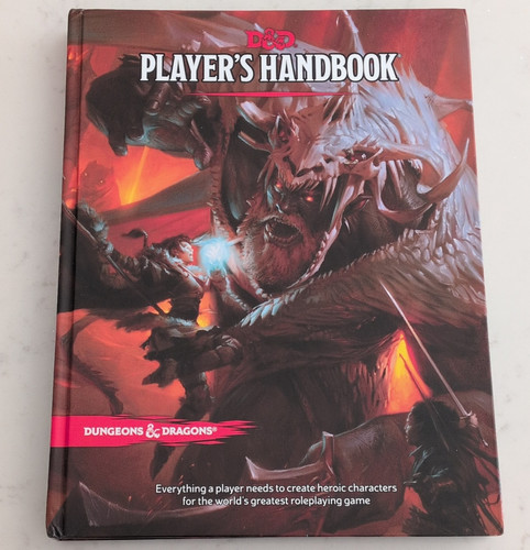 Dungeons dragons player - dungeons,