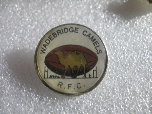 Rare old wadebridge camels - old,