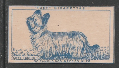 1951 carreras turf famous - 1951,