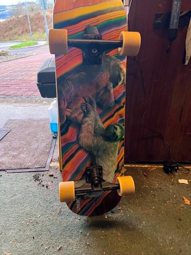 Landyachtz atv skateboard - atv,