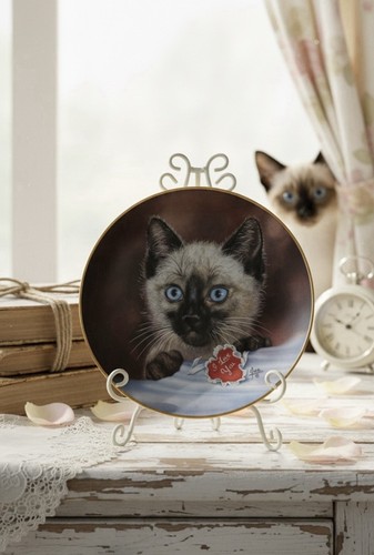 Hamilton cameo kittens tiny - cameo,