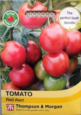 CHERRY TOMATO 'RED ALERT'