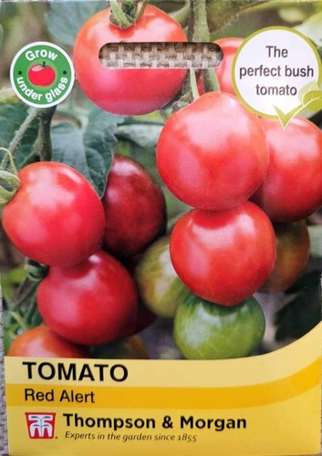 Cherry tomato red alert - cherry, alert'