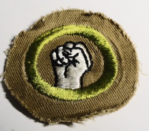 Bsa merit badge cut from - -,