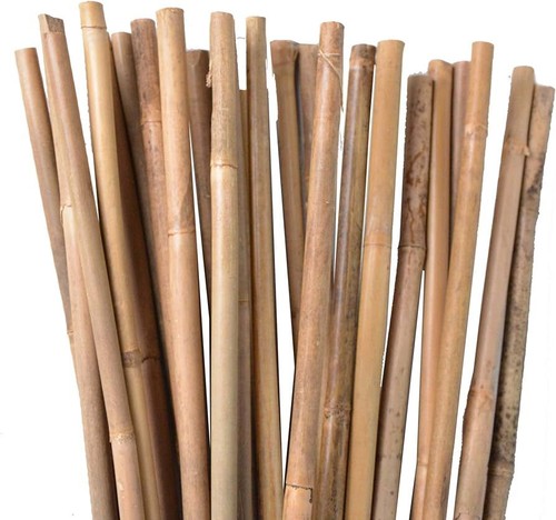 3ft bamboo canes garden - 3ft,