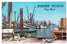 SHRIMP BOATS  KEY WEST