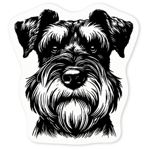Giant schnauzer portrait - 'giant, portrait'