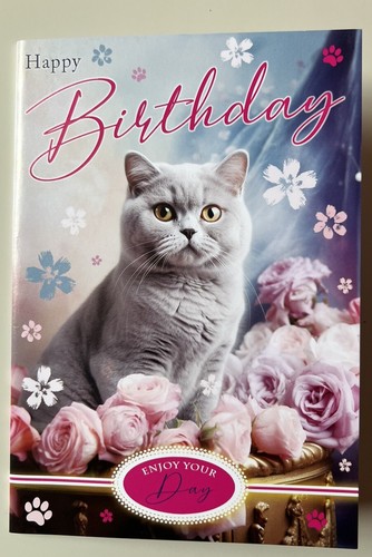 Cute british blue - british,