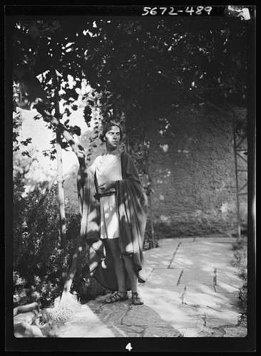 Photo kanellos vanellos greek - vanellos,