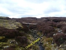 Photo 6x4 Pole Trap