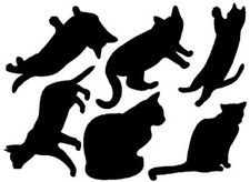 Mixed Cat Stickers, Lots of Colours, Crafting, Decoration, Furniture.