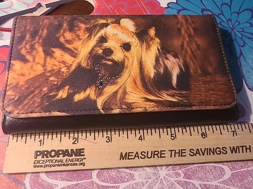 Yorkshire terrier yorkie - yorkshire,