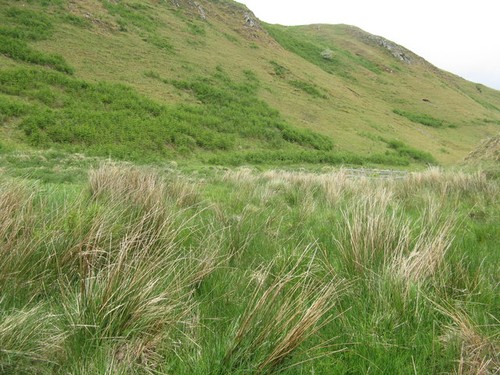 Photo 12x8 the southeast - photo,
