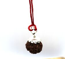 RUDRAKSHA RUDRAKSH 5 MUKHI COLLECTOR QUALITY BEAD PENDANT HINDU YOGA PRAYER RARE