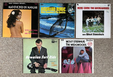 Wout Steenhuis vinyl album collection
