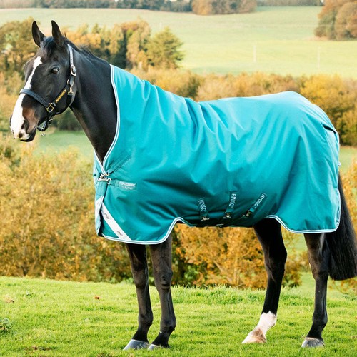 Horseware ireland amigo bravo - horseware,