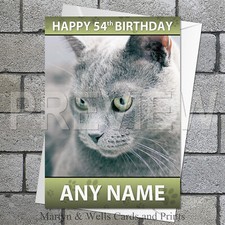 Russian blue cat - blue, birthday
