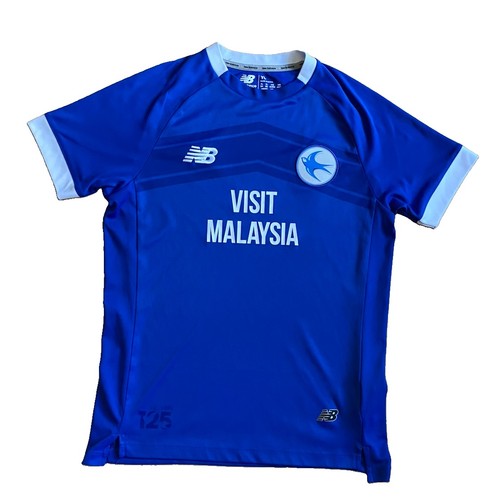 Cardiff city football - cardiff,