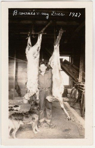 1927 hunter dog - 1927,