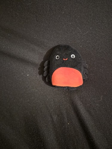 Squishmallow bella bird - bella, pre