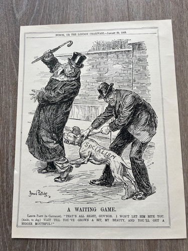 1908 political cartoon print - ,