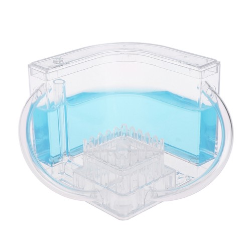 Ant farm educational - ant,