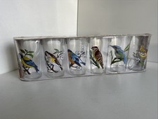 Vintage Bird Decorated Glasses VMC Reims France Set Of 6 Boxed Unused