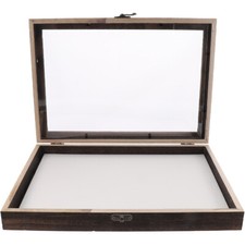 Insect Specimen Box Vintage