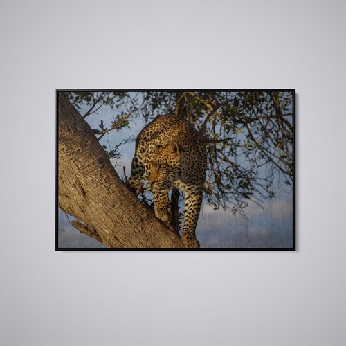 Artographie leopard perched - leopard,