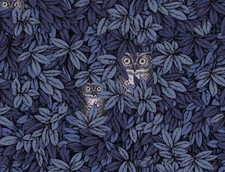 1 Roll Cole & Son Fornasetti