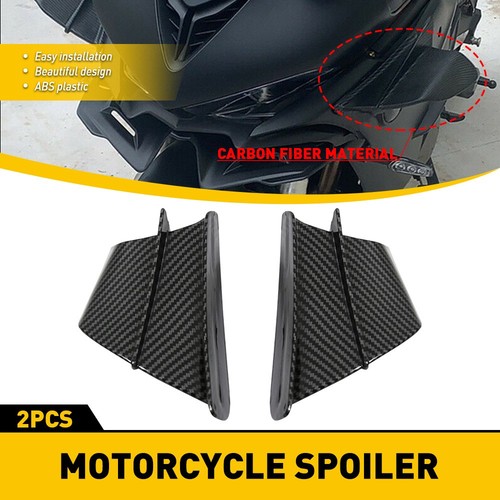 Motorcycle side wing - motorcycle,