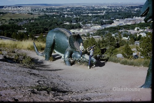 Giant triceratops sculpture - giant,